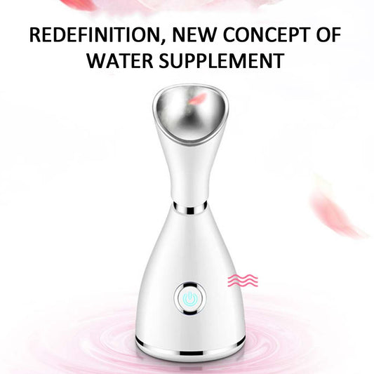 Nano Facial Steamer